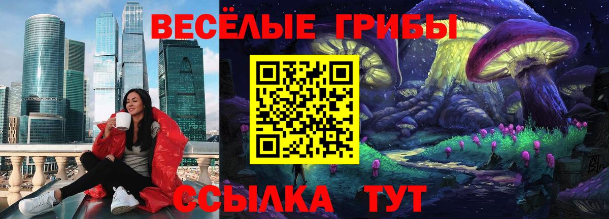 Псилоцибиновые грибы Cubensis Ижевск